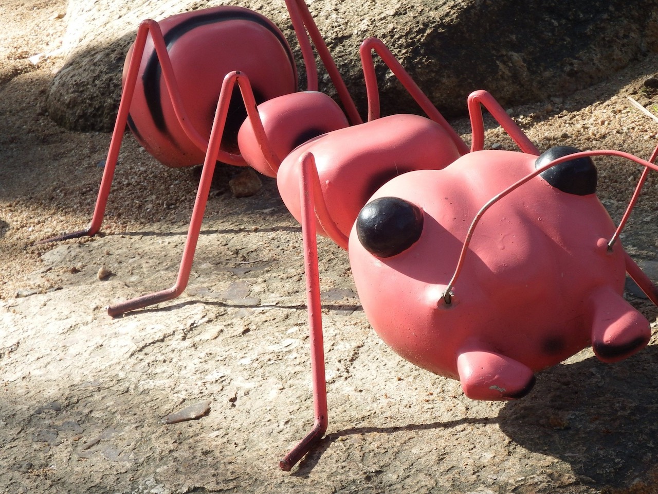 Modell einer Ameise